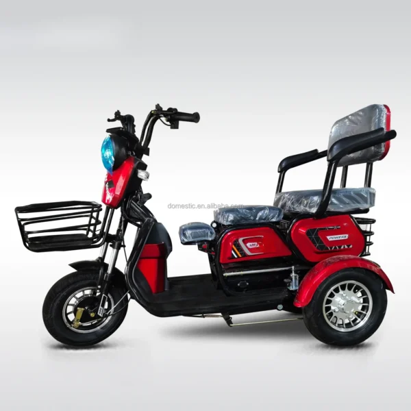 3-Wheeled Electric Scooter Elektro Trike Chinese Trike / Malaysia Adults 3 Wheel Motorized Bike Motorcycle Taxi Moped Car Etrike - Image 3