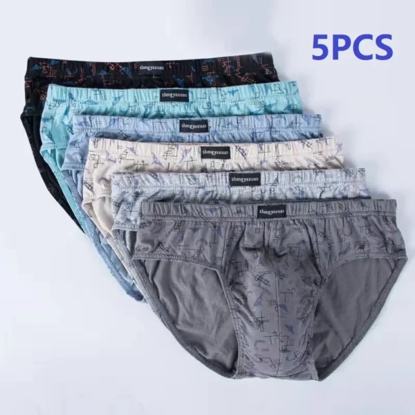 5Pcs/Lot Briefs Men's Briefs High quality Male 100% Cotton Printed Briefs Loose PLUS Size Men's Youth Shorts Briefs - Image 2